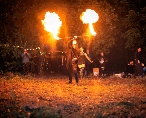 Готический пикник